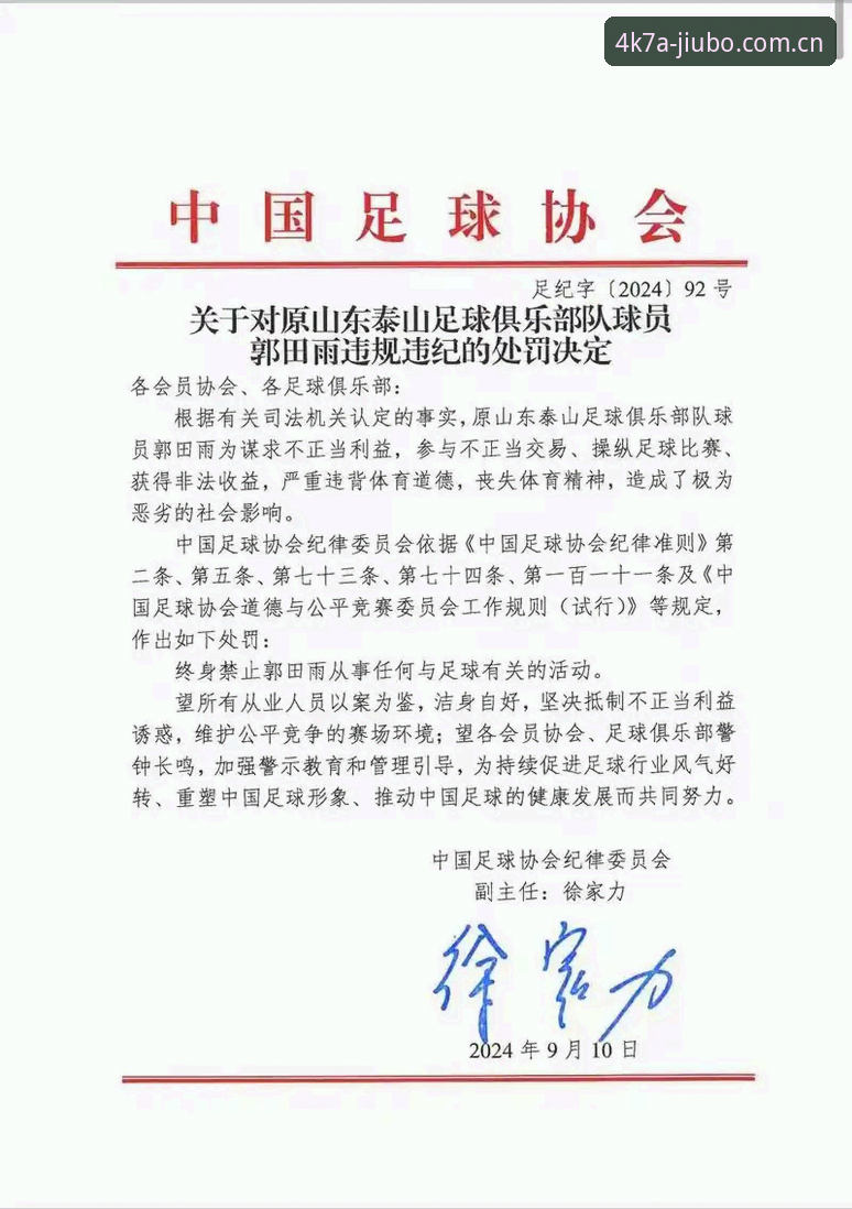 足协第三批禁足名单深度解读：看完这篇指南，你也能看懂中国足球反腐风暴